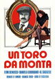 Un toro da monta