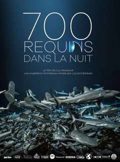 700 requins dans la nuit (2018)