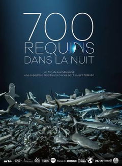 700 requins dans la nuit (2019)