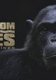 Kingdom of the Apes: Battle Lines