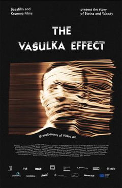 The Vasulka Effect (2019)