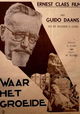 Waar het groeide