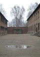 Made in Auschwitz: The Untold Story of Block 10
