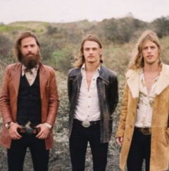 DeWolff in Europa (2020)