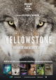 Yellowstone