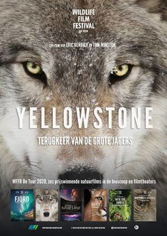 Yellowstone (2019)