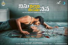 Ninu Veedani Needanu Nene (2019)