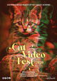 CatVideoFest 2020