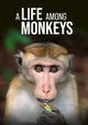 A Life Among Monkeys