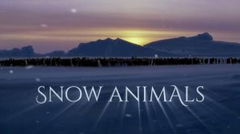 Snow Animals (2019)