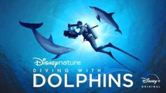 Diving with dolphins (2020)