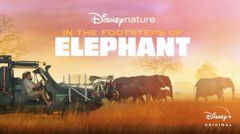 In the Footsteps of Elephant (2020)