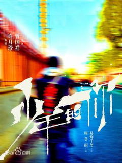 Shao nian de ni (2019)