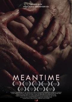 Meantime (2014)