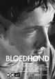 Bloedhond