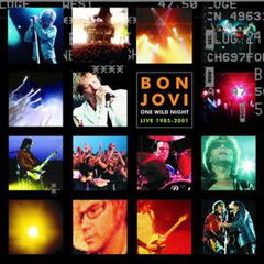 Bon Jovi: One Last Wild Night (2001)
