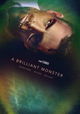 A Brilliant Monster