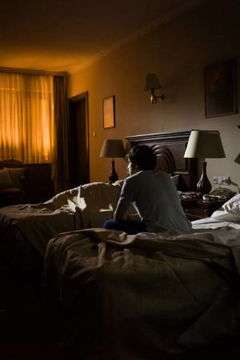 Het paard en de nachtegaal (2013)