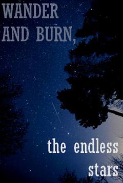 Wander and Burn, the Endless Stars (2018)
