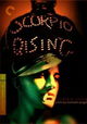 Scorpio Rising