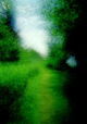 Brouillard: Passage #14