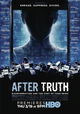 After Truth: Disinformation and the Cost of Fake News