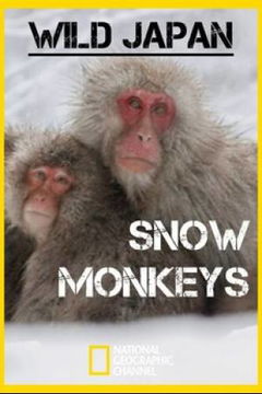 Wild Japan: Snow Monkeys (2014)