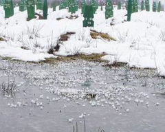 Dead Man Walking (2006)