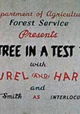 The Tree in a Test Tube