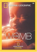 Life Before Birth