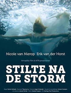 Stilte na de storm (2011)