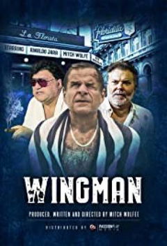 WingMan (2020)