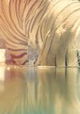 Big Cat Games