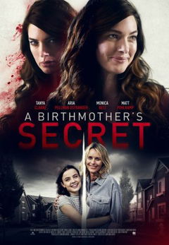 A Birthmother's Secret (2020)