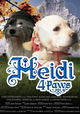 Heidi 4 Paws