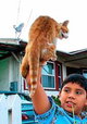 The First Kid to Learn English from Mexico
