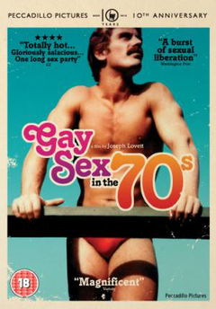 Gay Sex in the 70s (2005)