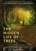 The Hidden Life of Trees