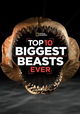 Top 10 Biggest Beasts Ever