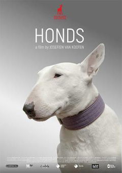 Honds (2020)