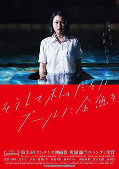 And So We Put Goldfish in the Pool. (2017)