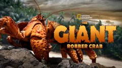 The Giant Robber Crab (2019)
