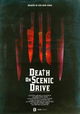 Death on Scenic Drive