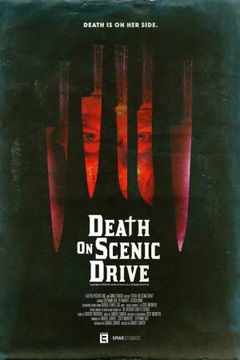 Death on Scenic Drive (2017)