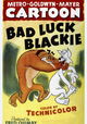Bad Luck Blackie