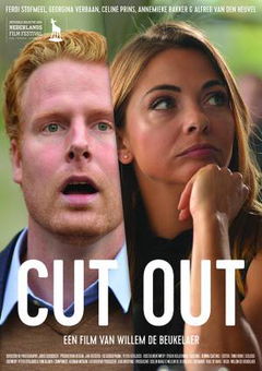 Cut Out (2016)
