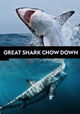 Great Shark Chow Down