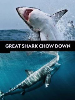 Great Shark Chow Down (2019)