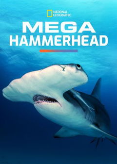 Mega Hammerhead (2016)
