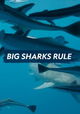 Big Sharks Rule